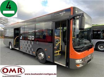 MAN A 66/ Midi/ O 530 K Citaro