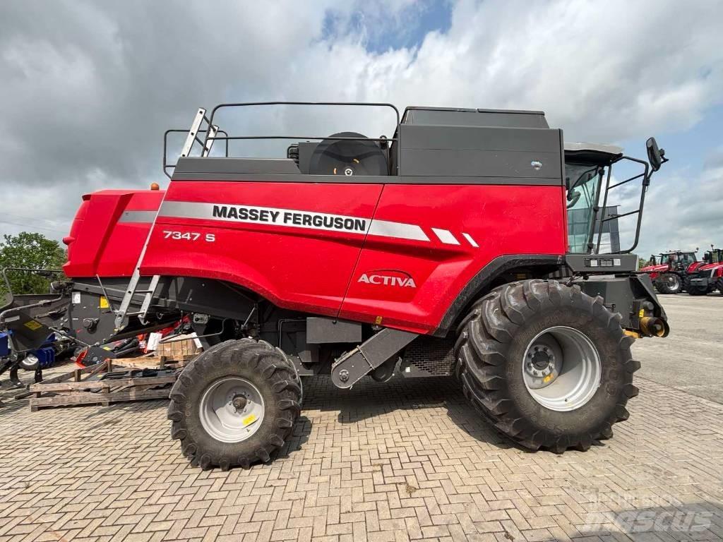 Massey Ferguson 7347 Skurtreskere