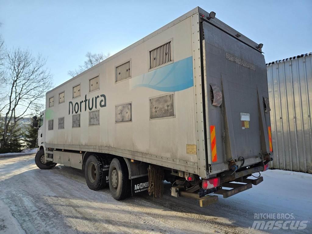 Scania G440 Dyretransport