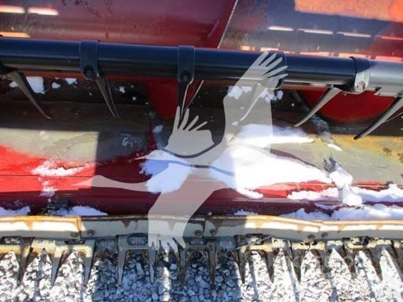 Case IH 1020 Skjærebord til skurtresker