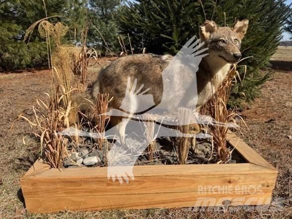 Coyote  Anlegg - Annet