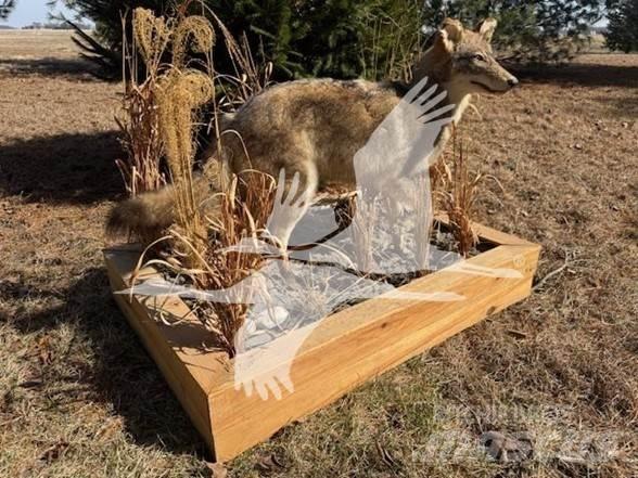 Coyote  Anlegg - Annet