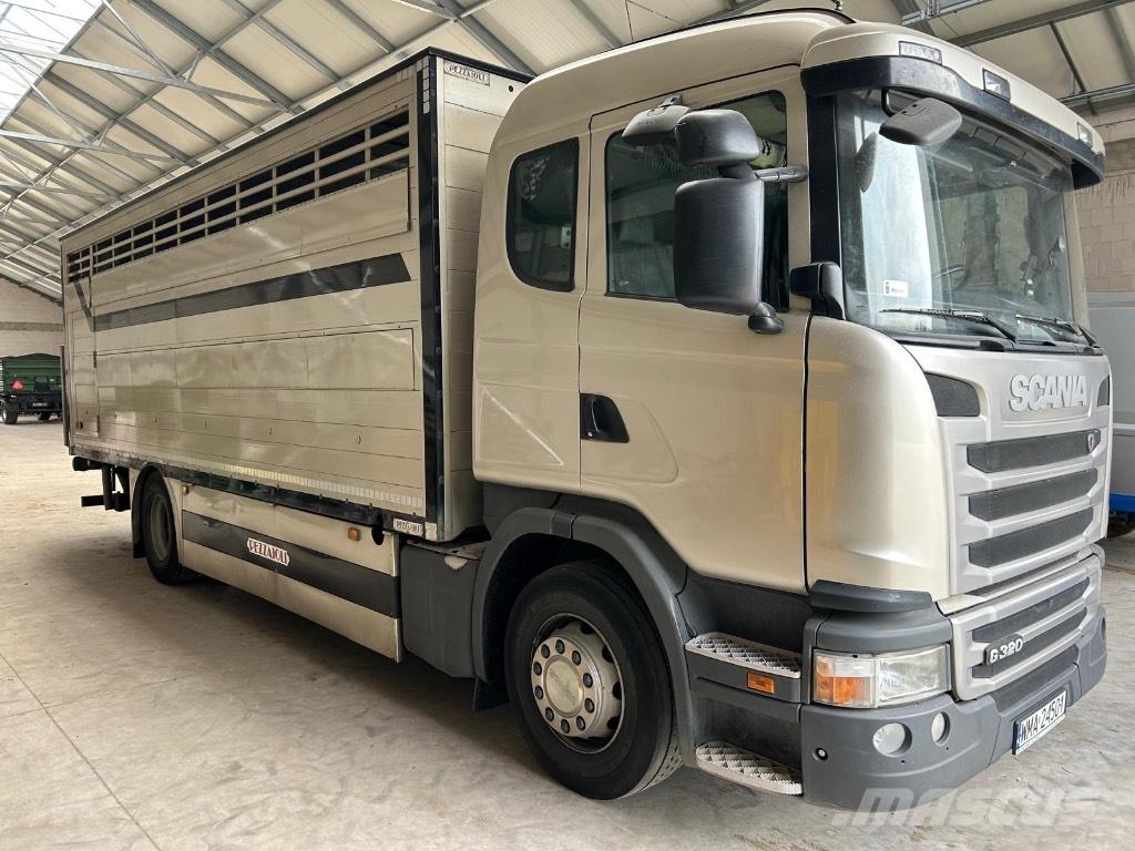 Scania G 320 Dyretransport