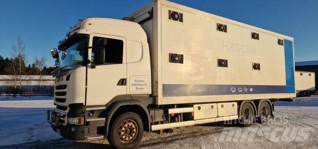 Scania R450 Dyretransport