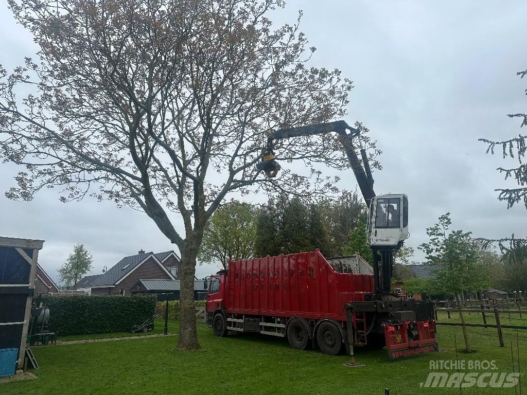DAF cf As75pc Tømmerbiler