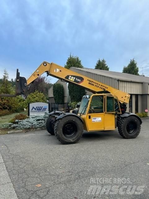 CAT TL 943 Teleskoplastere