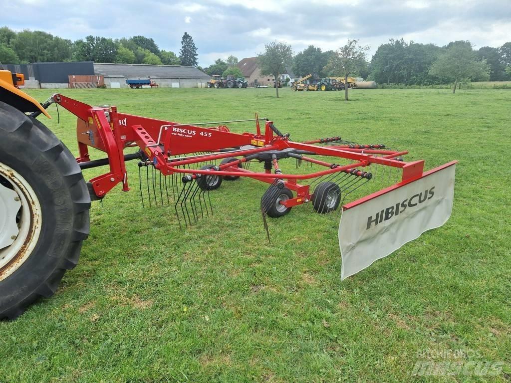 Lely Hibiscus 455 Svanser