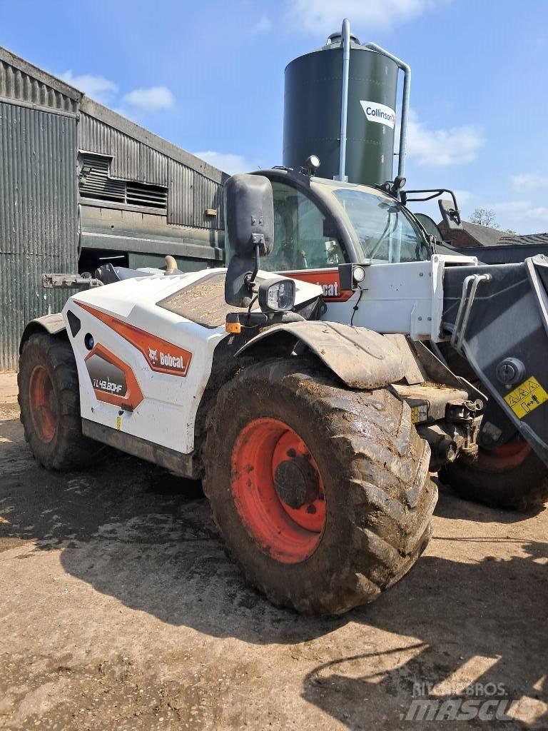 Bobcat TL 43.80 HF Teleskoplastere for Landbruk