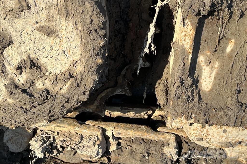 CASE CX 235 C Beltegraver