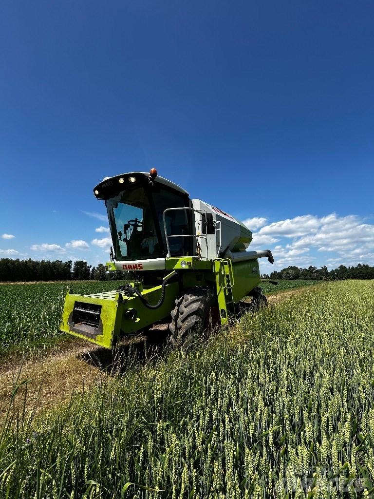 CLAAS Avero 240 Skurtreskere