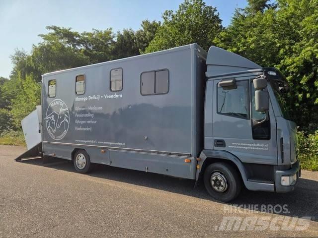 Iveco E 75 Dyretransport