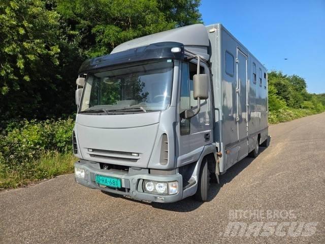 Iveco E 75 Dyretransport