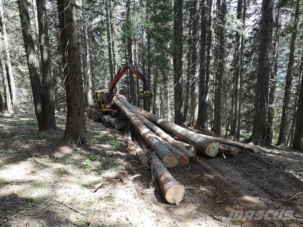 Welte 130K Stammelunner