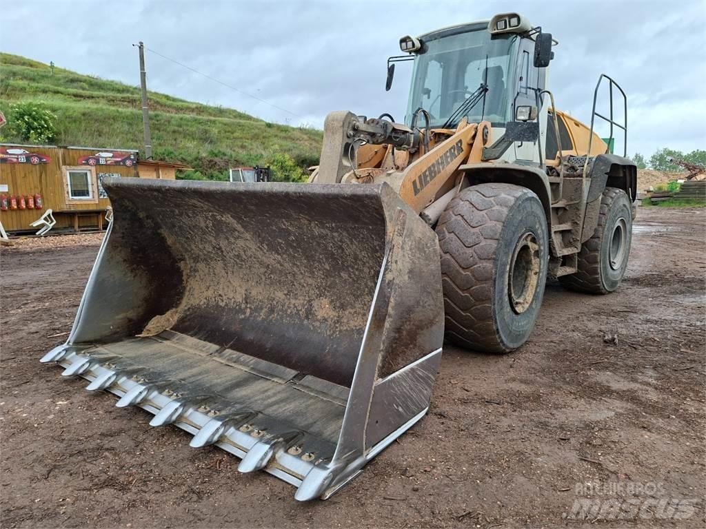 Liebherr L566 4X4 Anlegg - Annet