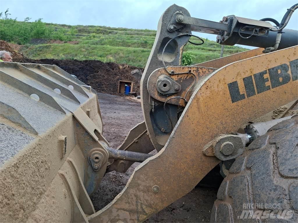 Liebherr L566 4X4 Anlegg - Annet