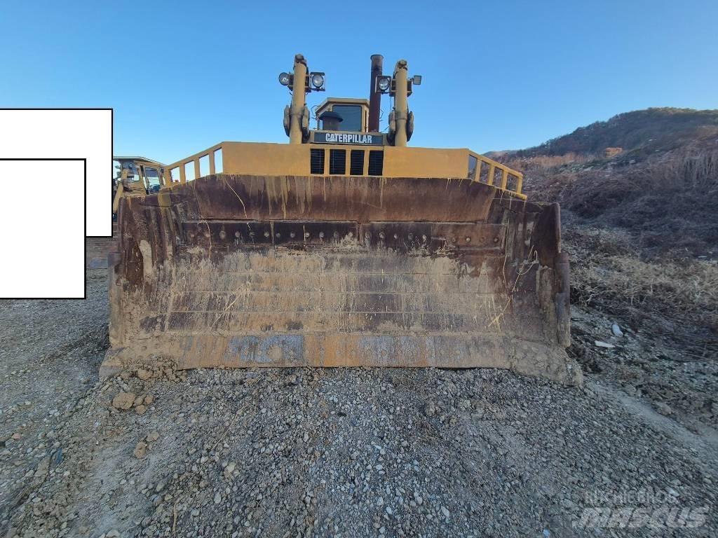 CAT D 9 N Dozere Beltegående