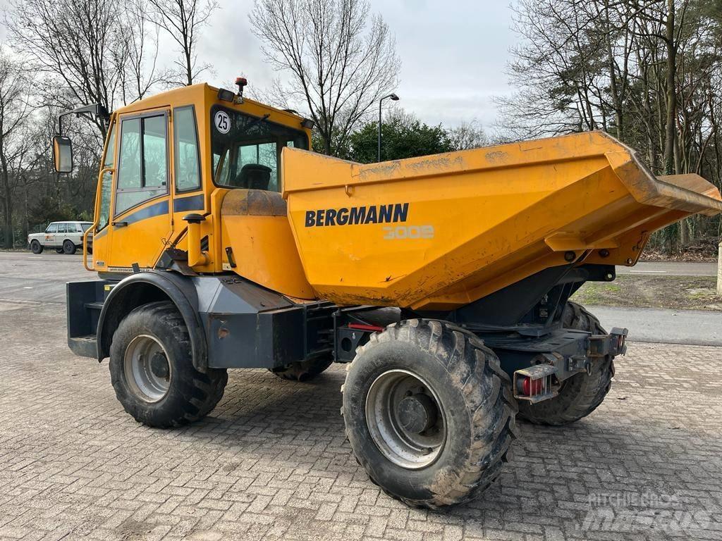 Bergmann 3009 R Rammestyrte Dumpere