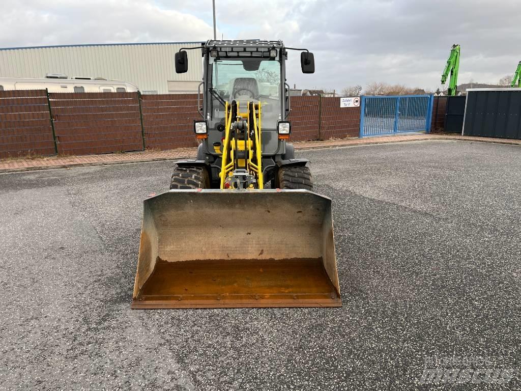 Wacker Neuson WL 38 Hjullastere