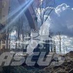 CAT 349EL Beltegraver