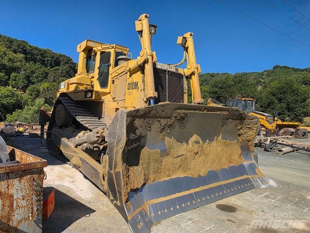 CAT D 10 N Dozere Beltegående