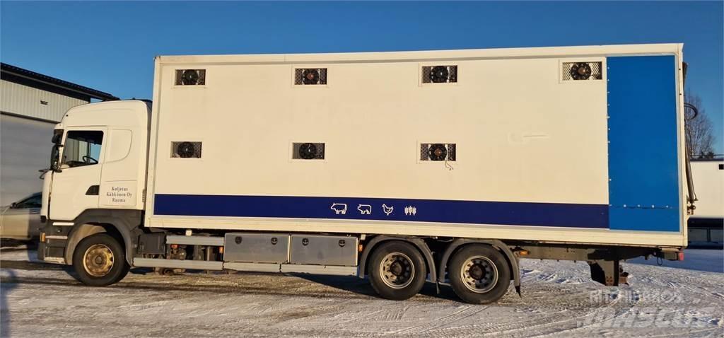 Scania R450 Dyretransport