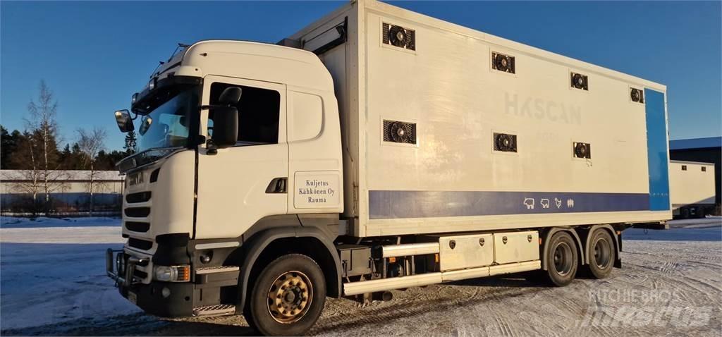 Scania R450 Dyretransport