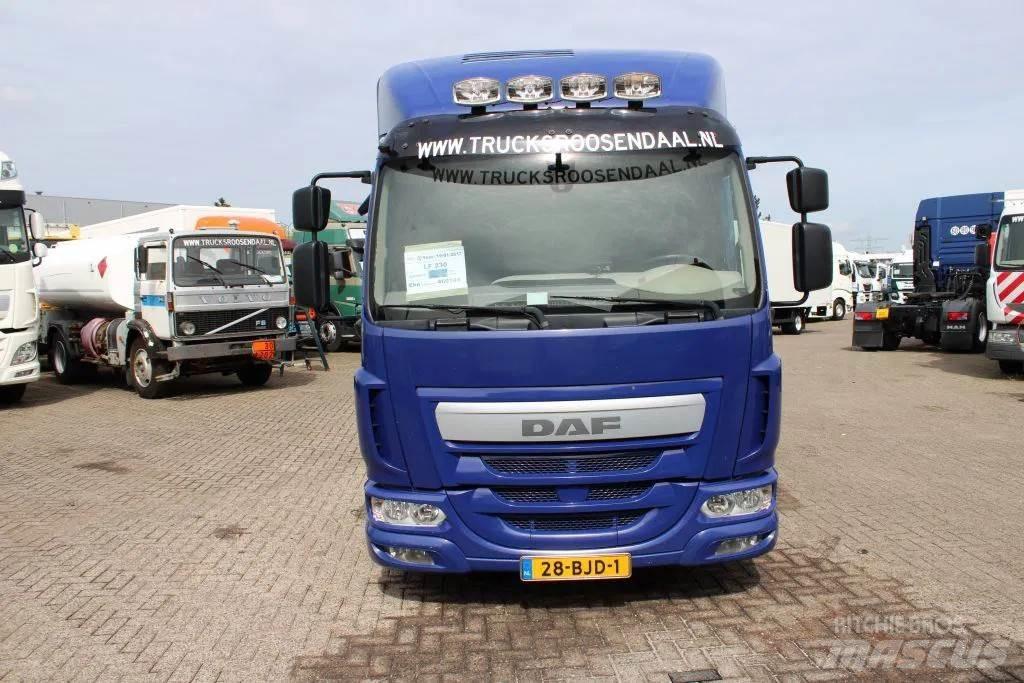 DAF LF 230 + EURO 6 Skapbiler