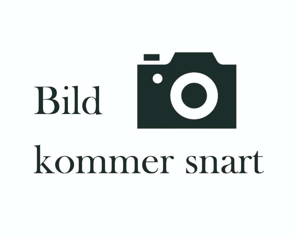 BT LPE250 Lavtløftende truck med platform