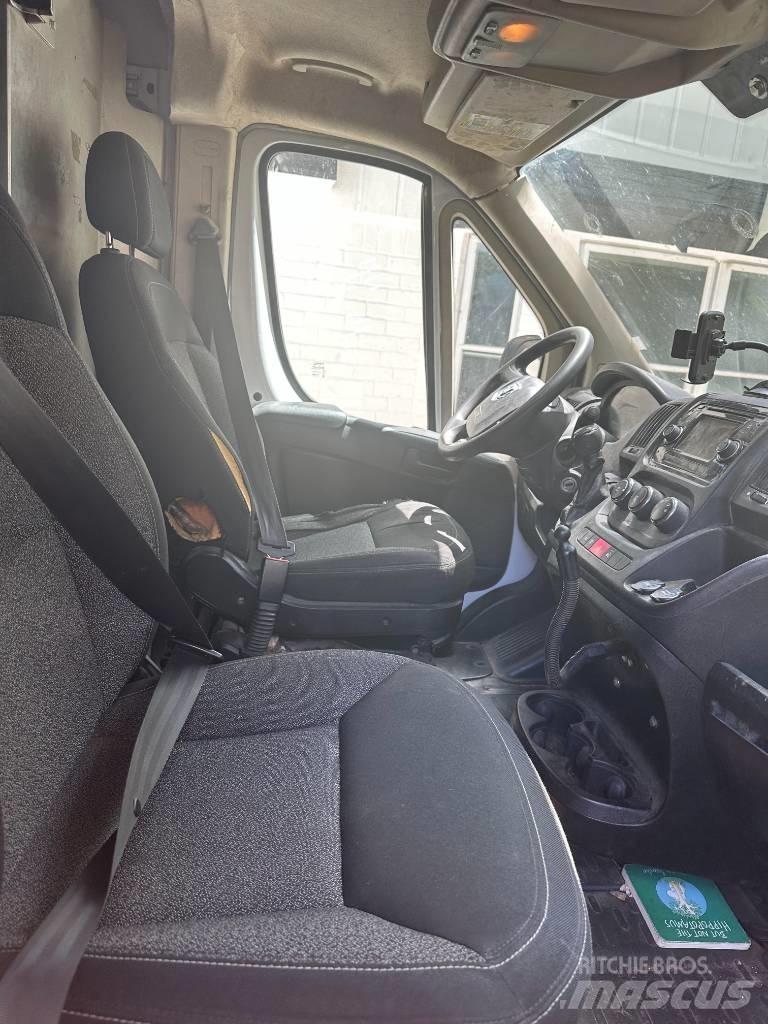 Dodge promaster Skapbiler