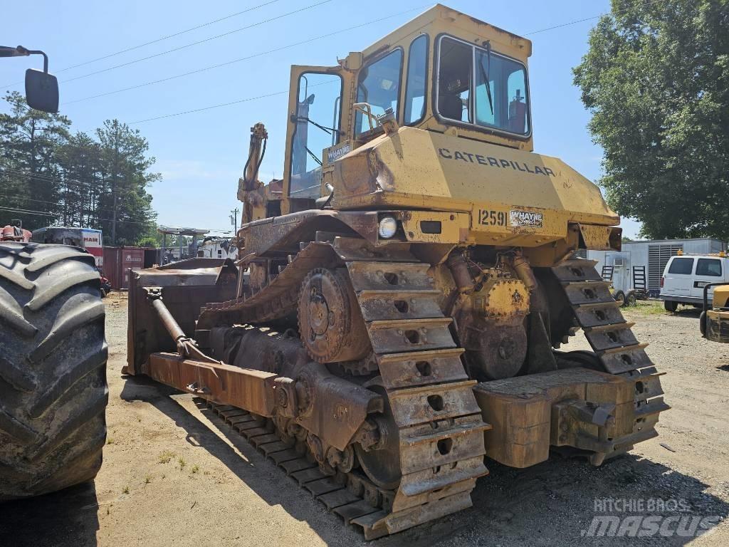 CAT D8N Dozere Beltegående