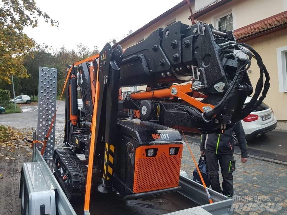 BG Lift M250 Minikraner