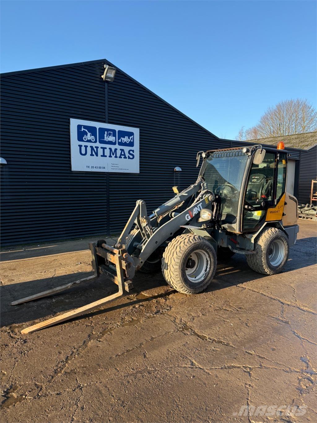 GiANT V6004 T Minilastere