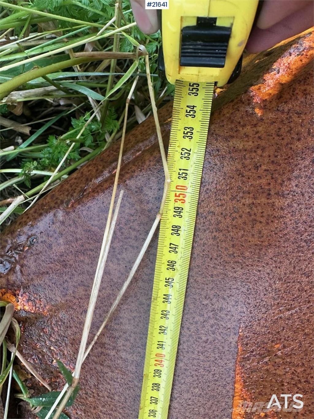  Gmill HDA 265 plow. Transport - Annet