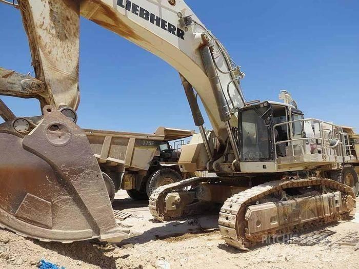 Liebherr R9150 Spesialtilpassede gravemaskiner