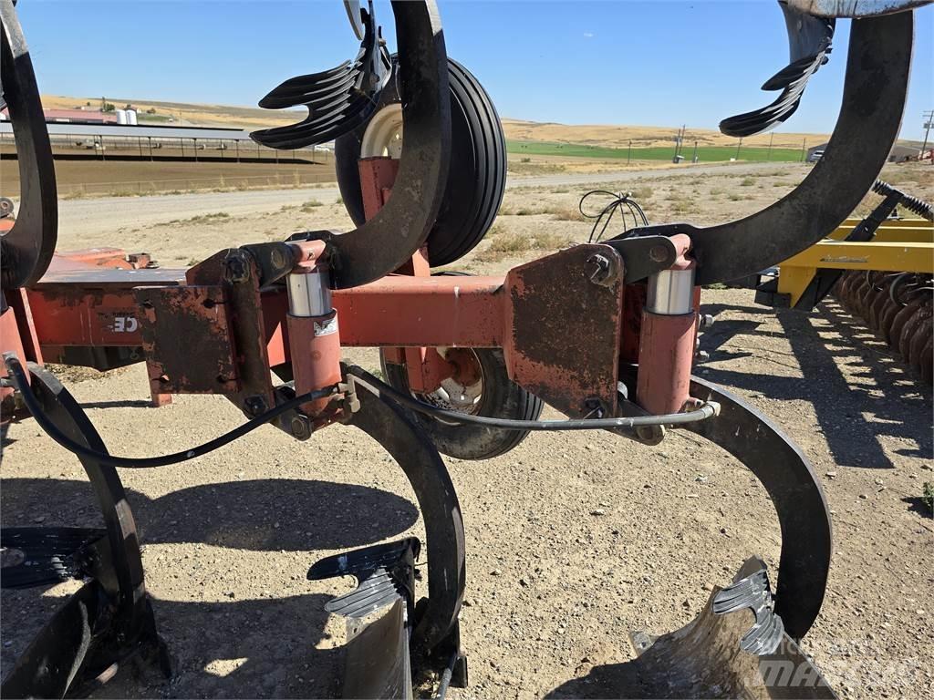 Ace 5 Bottom Vanlige ploger