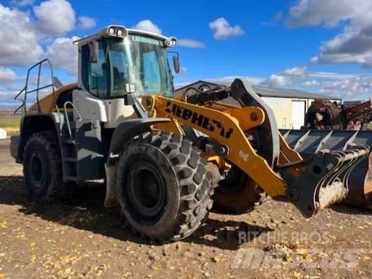 Liebherr L550 Anlegg - Annet
