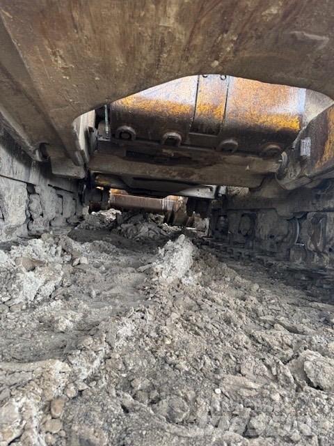 CAT D 10 N Dozere Beltegående