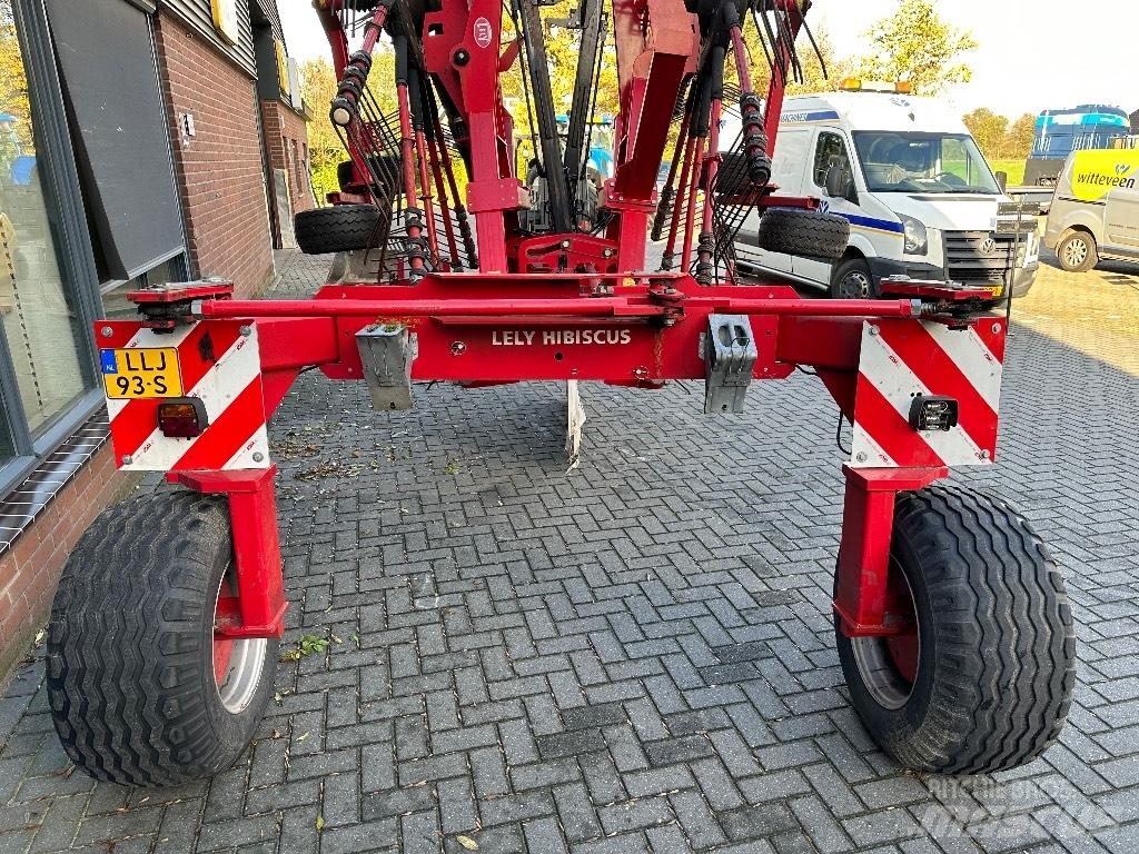 Lely Hibiscus 885 CD Svanser