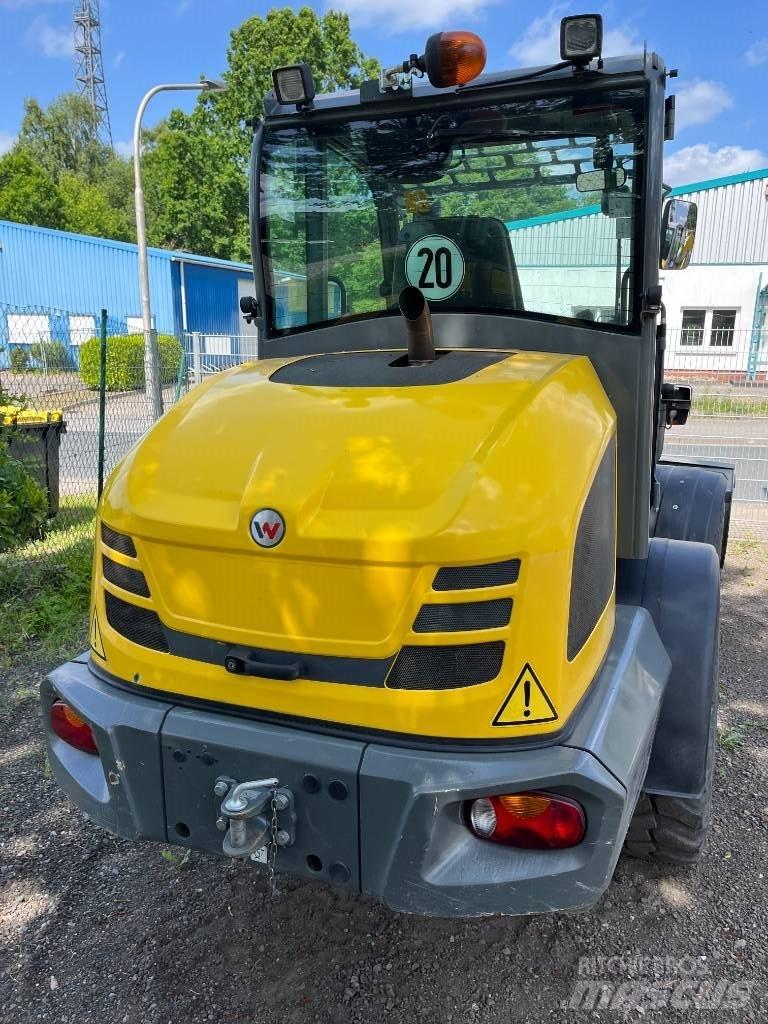 Wacker Neuson WL 52 Hjullastere