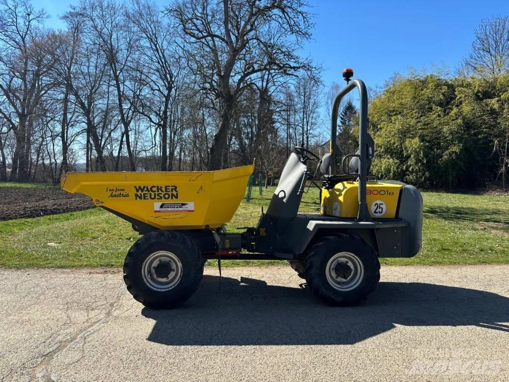Wacker Neuson 3001 Mini dumpere