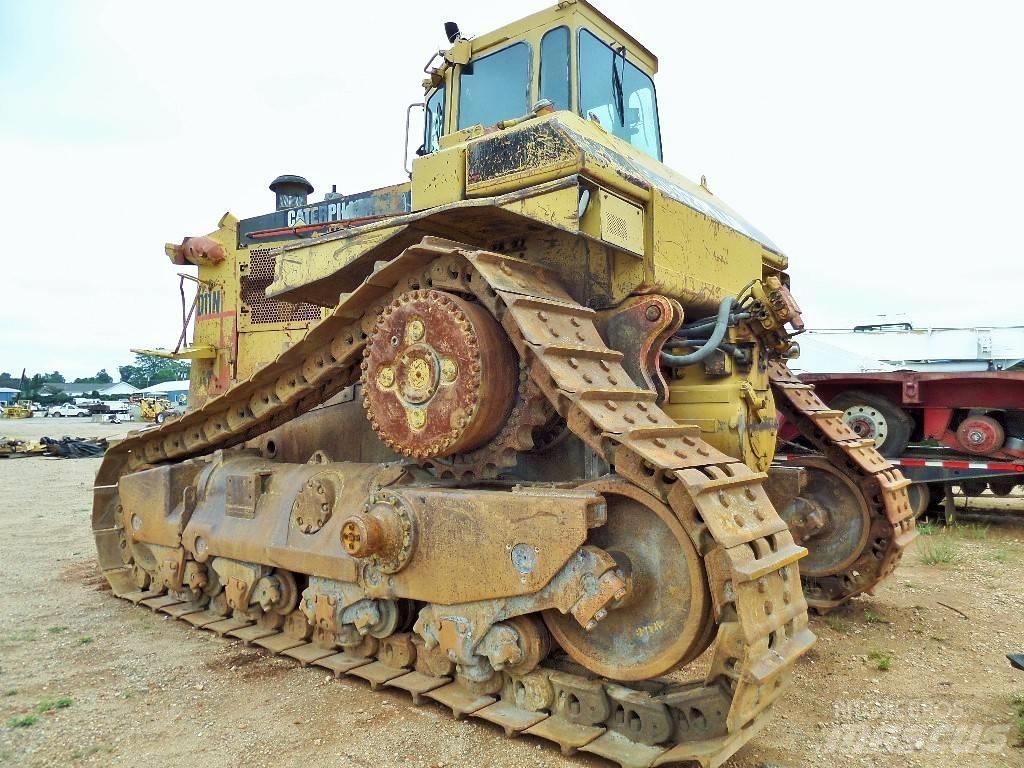 CAT D 11 N Dozere Beltegående