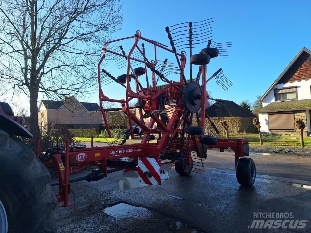 Lely Hibiscus 805 CD Svanser