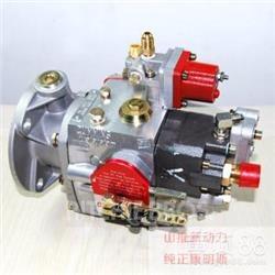 Cummins 4951451-20 Motorer