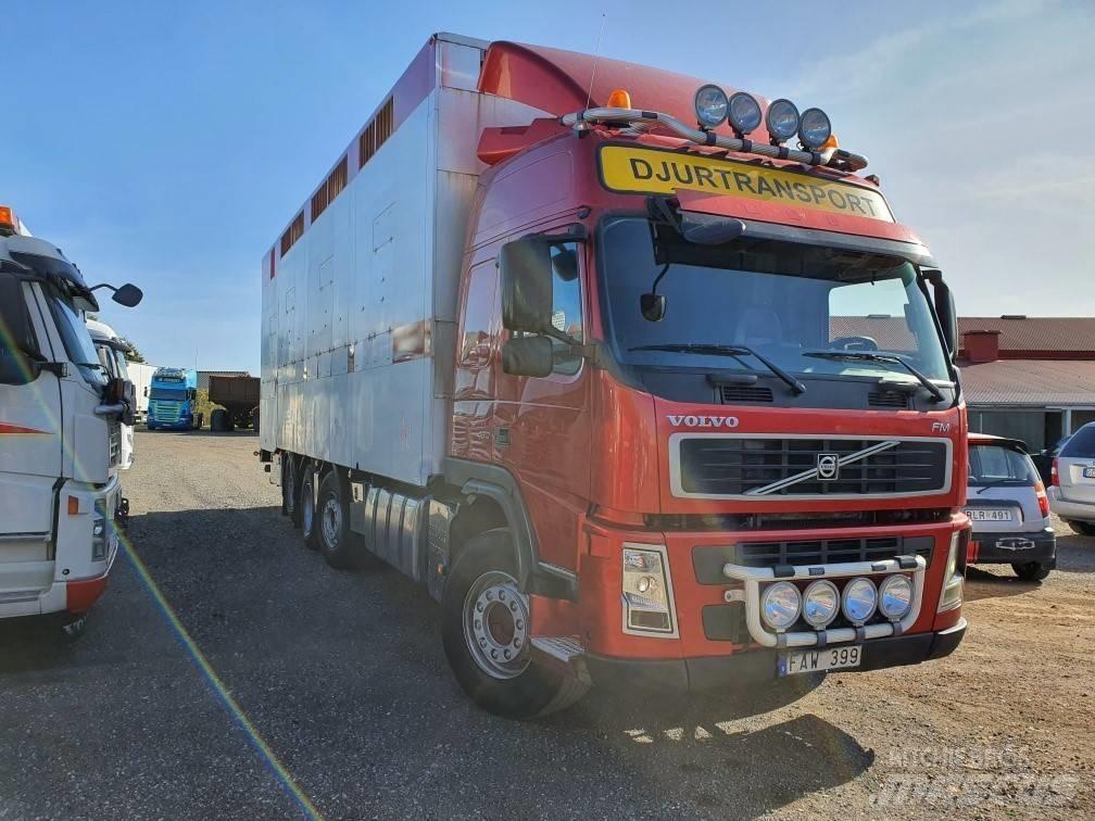 Volvo FM12 Dyretransport
