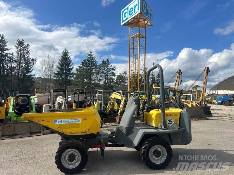 Neuson 3001 Mini dumpere