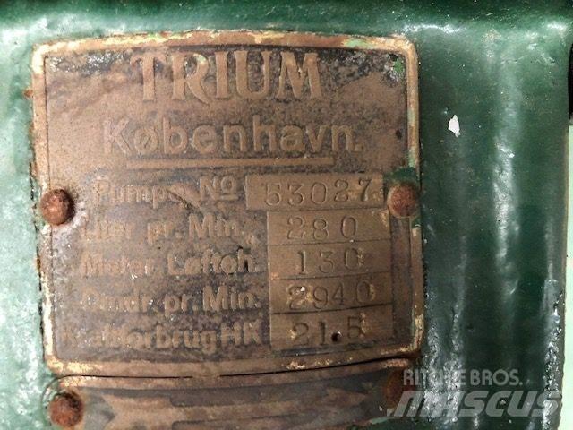  TRIUM QZKS Vandpumpe Vannpumper