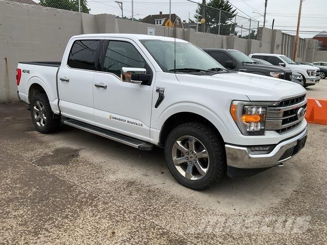 Ford F-150 Andre varebiler