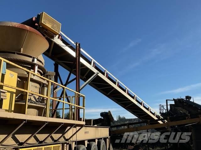  Reesco 36X60 Transportbånd