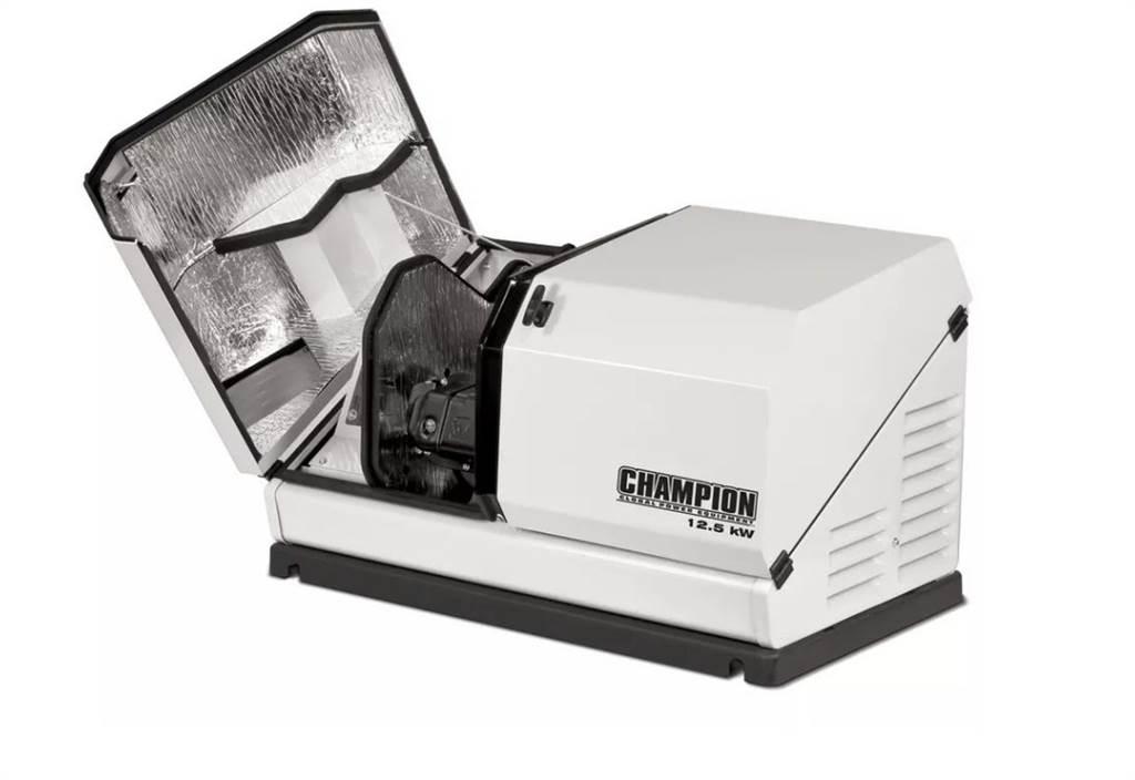 Champion 100838 Diesel Generatorer