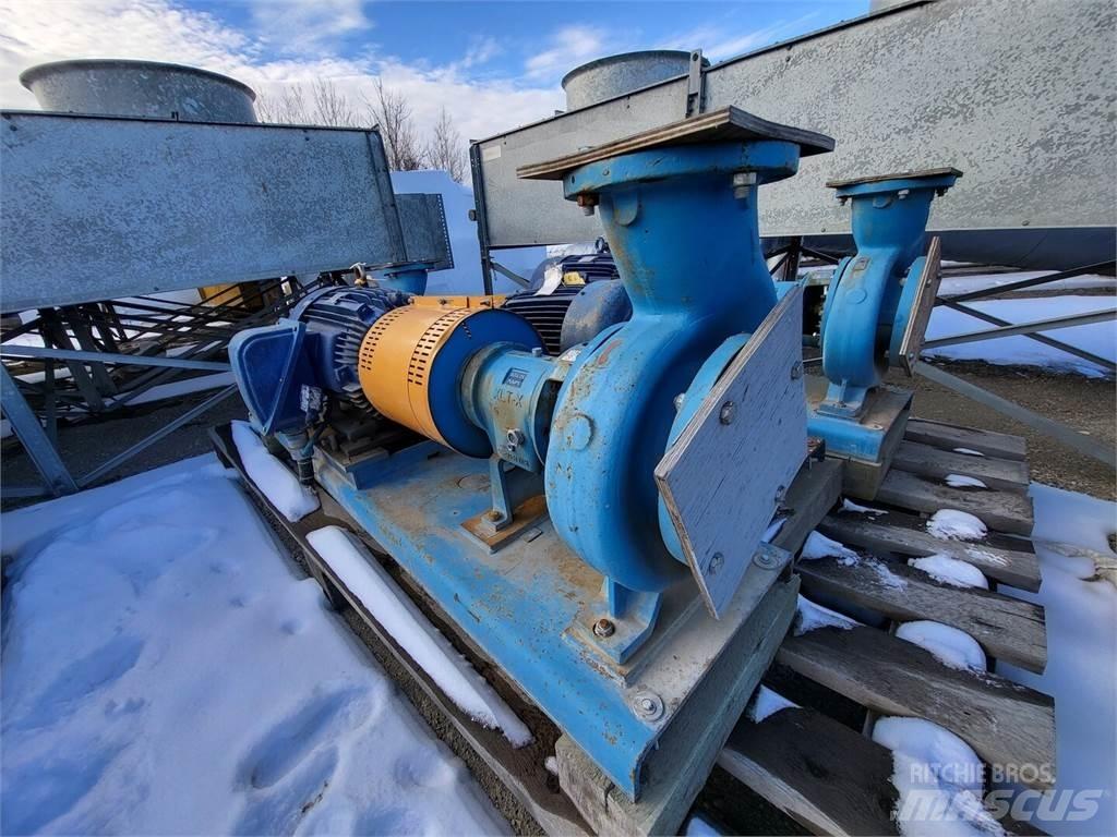  GOULDS 3196 Vannpumper